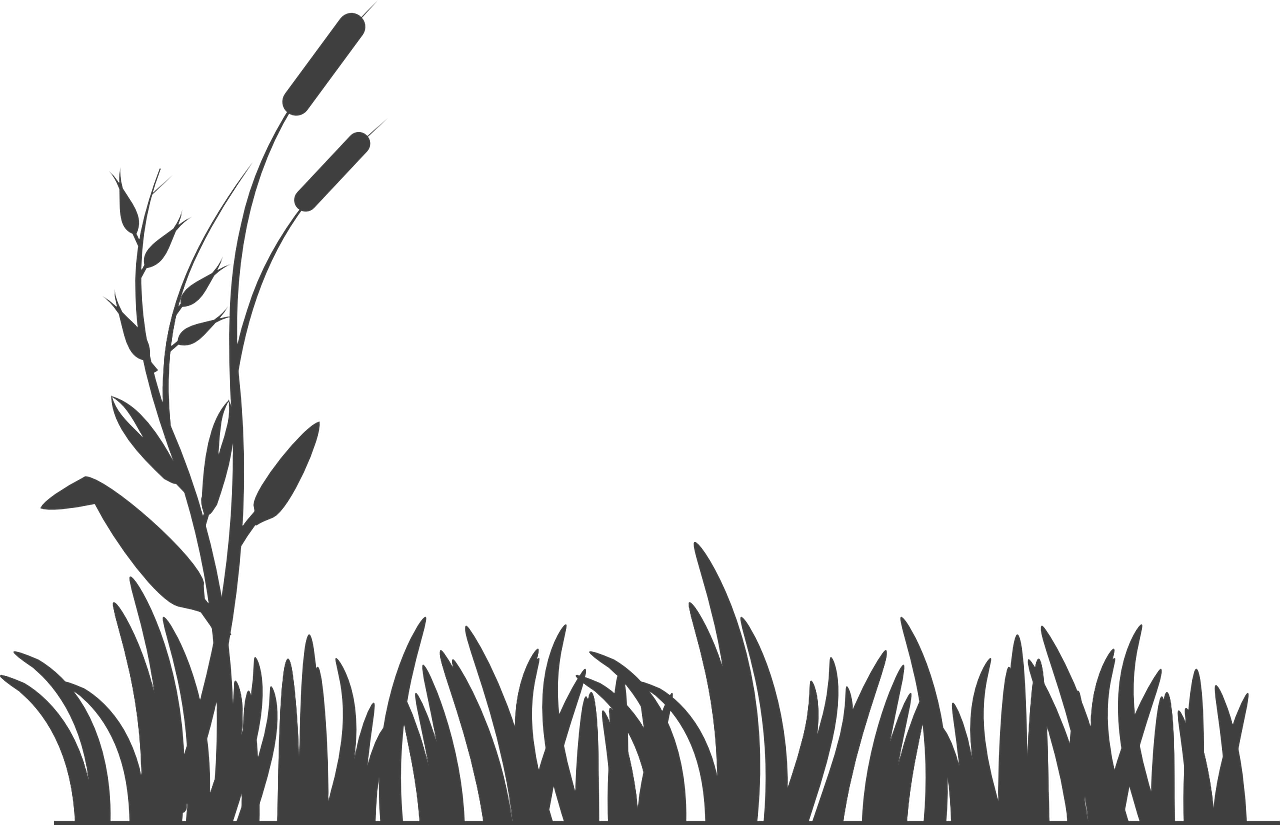 narmadeshwar-global.in