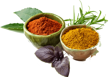 narmadeshwar-global.in